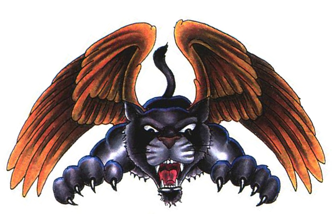 Card image cap
